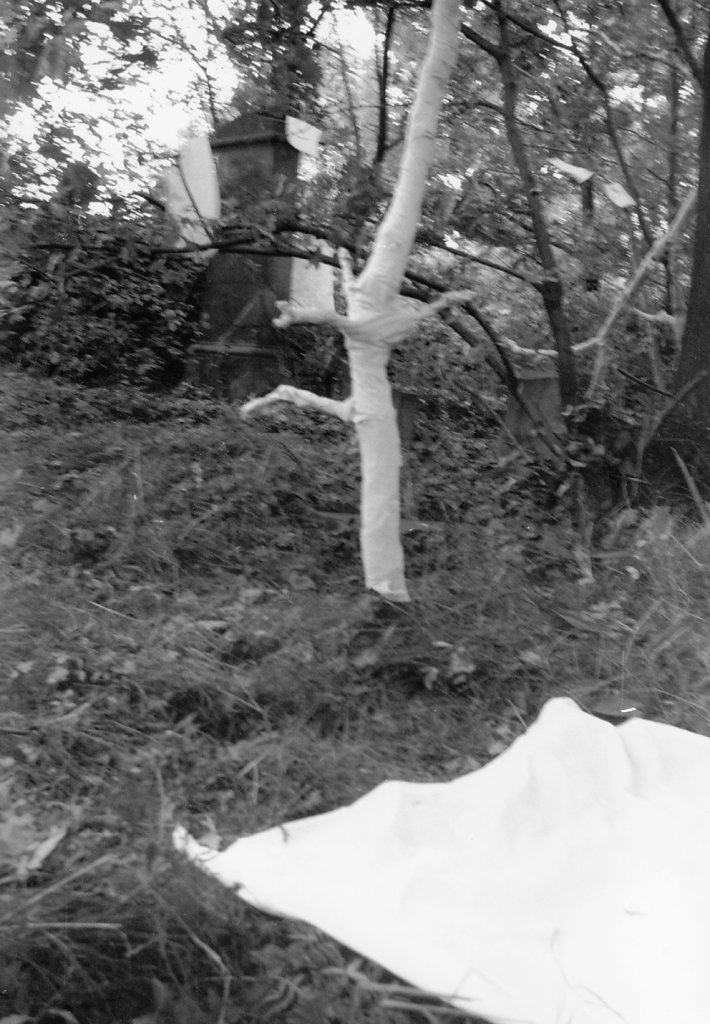 „Eingewickelter Baum“, 1. Freilandaktion, jüdischem Friedhof im Oderbruch, 1979